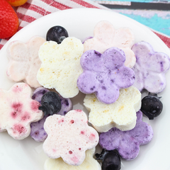 Freeze Dried yogurt cube with fruit dice